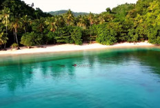 Pantai Teluk Hantu: Keindahan yang Masih Tersembunyi di Lampung!