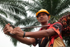 Kisah Orang Lombok Bertaruh Mimpi di Negeri Jiran