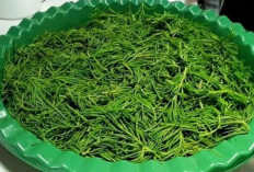 Jaga Kesehatan Rambut, Tulang dan Mata dengan Sayur Alur