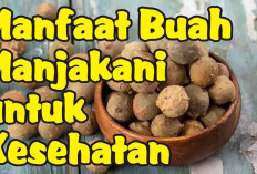 Pulihkan Tubuh Setelah Melahirkan dengan Buah Majakani