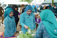 Kunker, Perkuat Silaturahmi TP PKK Sumsel 