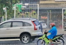 Prakiraan Cuaca BMKG Selasa 11 Juni 2024 :  Sebagian Besar Wilayah  IndonesiHujan Ringan  !