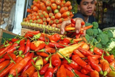 Harga Pangan 7 Maret 2025 : Cabai Rawit Merah Tercatat di Angka Rp97.250 per Kilogram !  