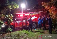 Damkar Palembang Siap Tangani Laporan Hewan Buas