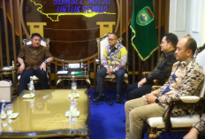 Pemprov Sumsel Komitmen Pelayanan Kelistrikan Merata  