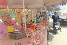 Harga Ayam Potong di Pasar Tradisional Kayuagung Mulai Naik