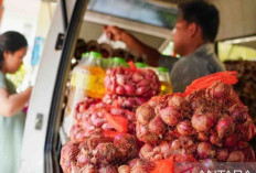 Harga Pangan 3 Januari 2025 : Bawang Merah Naik Menjadi Rp40.920/Kg, Gula Konsumsi Turun Rp17.960/Kg