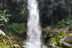 Pesona Alam Air Terjun Ayek Deghian : Keajaiban Pengobatan Tradisional di  Empat Lawang Sumatera Selatan !