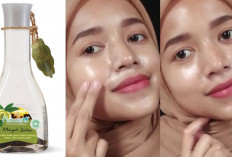 Turunkan Risiko Demensia dengan Minum Minyak Zaitun