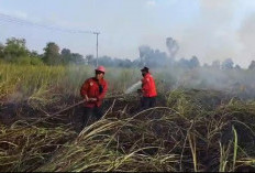 5,7 Hektare Lahan Terbakar, BPBD Ogan Ilir Siagakan Ratusan Personel Antisipasi Karhutla 2025