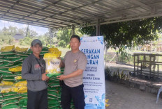 Salurkan 8 Ton Beras Murah untuk Warga Gelumbang