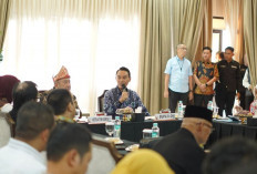 Bupati OKI Suarakan Kesejahteraan Guru PPPK Paruh Waktu ke Komisi X DPR RI