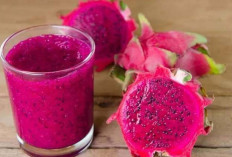 Jus Buah Naga Kian Populer Minuman Sehat Kaya Manfaat untuk Tubuh