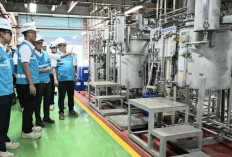 Dirut PLN: Sistem Kelistrikan Nasional Andal Jelang Idulfitri 1447 H