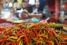 Harga Pangan 9 Desember 2025: Cabai Rawit Merah Tembus Rp79.350, Telur Ayam Bertahan di Rp32.550 !