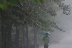 Prakiraan Cuaca BMKG Kamis 13 Juni 2024 :  Sumatera Selatan Potensi Diguyur Hujan !  