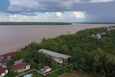 Profil Desa Wisata Sungsang IV Banyuasin : Permata Tersembunyi di Sumatera Selatan Berkelas Dunia ! 