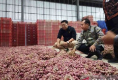 Harga Pangan 12 Mei 2025 : Bawang Merah Turun Rp38.636, Daging Ayam Rp34.842 per Kilogram !