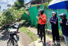 Pemkot Palembang Cek Pohon Rawan Tumbang Untuk Kenyamanan Masyarakat