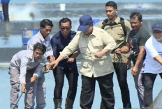 Panen Raya Udang Kebumen, Prabowo Subianto Dorong Penguatan Ekspor dan Ketahanan Pangan Nasional
