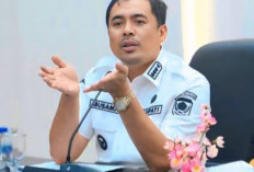 Pemkab OKU Selatan Dorong Translaksi Gajah Liar untuk Redam Konflik dengan Warga