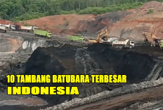 10 Tambang Batubara Paling Besar di Indonesia : Salah Satunya di Sumatera Selatan !