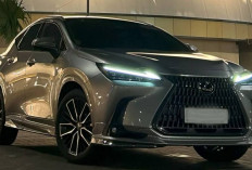 Naik Kelas Bersama Lexus NX 350h Luxury : SUV Hybrid Premium yang Siap Memikat Pasar Indonesia