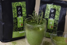 Tips Mudah Menemukan Matcha Berkualitas untuk Minuman yang Lebih Istimewa