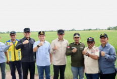 Target Presiden Prabowo: Banyuasin Jadi Penopang Utama Swasembada Pangan