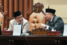 Wagub Sumsel Dukung Penguatan Fiskal melalui Pembentukan Pansus Optimalisasi Pendapatan Daerah