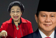 PDIP Vs KIM Plus di Pilkada 2024  : Siapa yang Mendominasi di 5 Provinsi Kunci ?