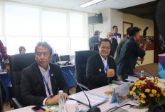 Dividen Turun, Edison Puji Kebehasilan   Resiliensi BSB 