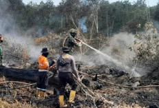 Tiga Kecamatan Masuk Zona Waspada Karhutla