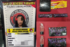 Satresnarkoba Polres Lubuklinggau Bongkar Peredaran Etomidate Berkedok Vape, Seorang Wanita Diciduk