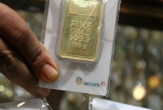 Update ! Harga Emas Antam 23 Desember 2024 : Masih Stabil di Angka Rp1.533.000 per Gram