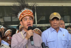 Jusuf Kalla Idola Gibran