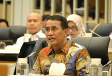 Kementan Usulkan Rp5,1 Triliun Pulihkan Pertanian Sumatera