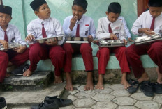 MBG Program Mulia, Tata Kelola dan Pengawasan Diminta Dibenahi Total