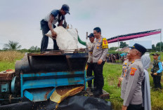 Kapolres Ogan Ilir Hadiri Panen Raya Jagung Program Ketahanan Pangan di Rantau Alai