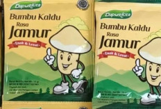 Kaldu Jamur, Penyedap Alami Favorit Pengganti MSG