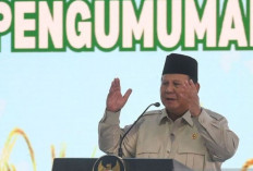 Presiden Perintahkan Sita Jutaan Lahan Sawit