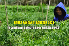 Harga Pangan 11 Agustus 2024 : Cabai Rawit Sentuh Rp69.270 per Kilogram, Beras Medium Rp13.570 !