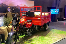 TVS Resmi Luncurkan Armado 200, Kendaraan Roda Tiga Tangguh untuk UMKM dan Logistik