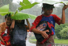 Prakiraan Cuaca BMKG Kamis 16 Mei 2024 : 19 Provinsi Diguyur Hujan Lebat !