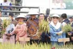  Pemkab OKU Timur Targetkan Cetak Sawah Baru 11 Ribu Hektare