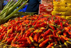 Harga Pangan 22 November 2025: Bawang Merah Tembus Rp42.550, Cabai Rawit Merah Rp49.800 per Kilogram !