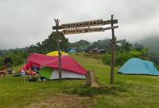 Giri Pangrango Camping Ground : Pilihan Tepat Buat Camper yang Cari Tempat Luas dan Terjangkau