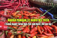 Harga Pangan 31 Agustus 2024 : Cabai Rawit Turun Rp5.750 Jadi Rp42.780 per Kilogram !