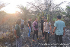 Kakek 72 Tahun di  Muratara  Tewas Terkepung Api di Kebun Sawit