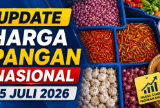 Update Harga Pangan Nasional 25 Juli 2026: Cabai Rawit Merah Rp54.400, Telur Ayam Rp29.600 per Kilogram